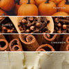 Pumpkin Spice Soy Candle | 8 oz Pumpkin Jar