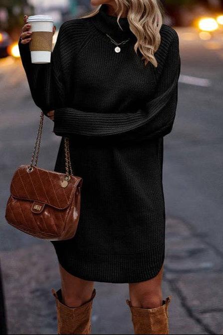 Chunky Turtleneck Sweater Dress