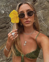 Blake Polarized Sunglasses