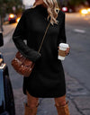 Chunky Turtleneck Sweater Dress