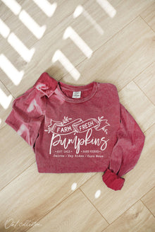  Farm Fresh Pumpkins Long Sleeve Graphic